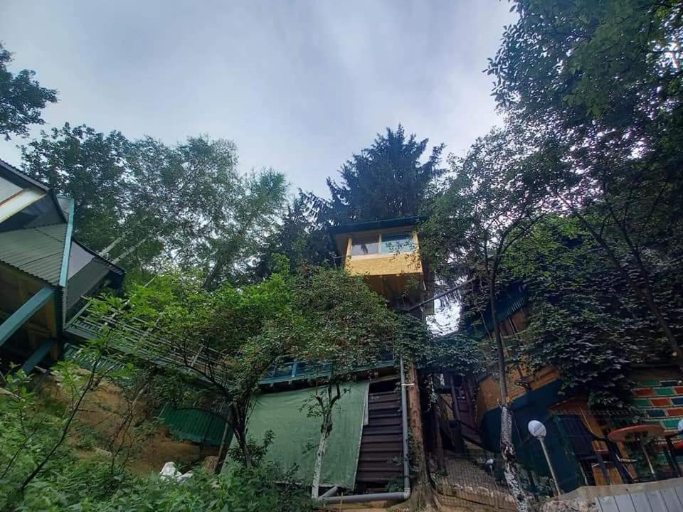 Tree House Apartman Visoko Kültér fotó